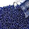 TOHO Round Seed Beads SEED-TR11-2206C-1