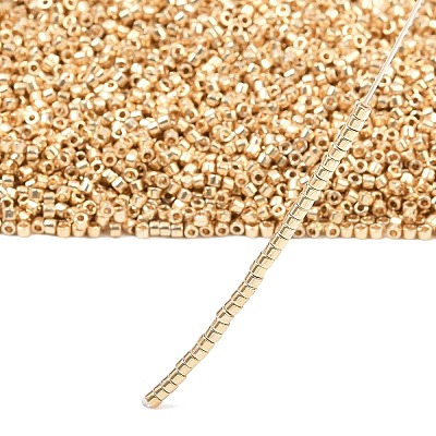 MIYUKI Delica Beads SEED-MY11-DB2501-1