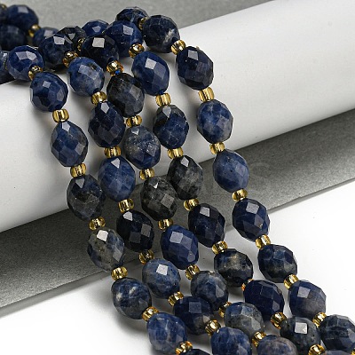 Natural Sodalite Beads Strands G-N342-57-1