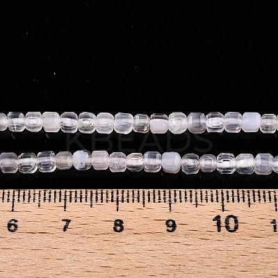 Natural White Agate Beads Strands G-T138-211A-1