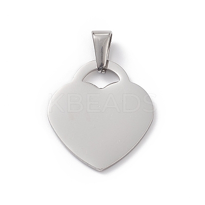 Non-Tarnish 304 Stainless Steel Pendants STAS-G284-19P-1