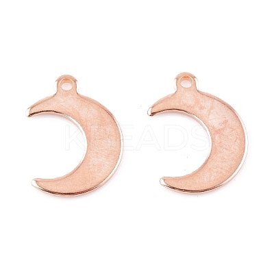 304 Stainless Steel Charms LS-STAS-H557-31RG-1