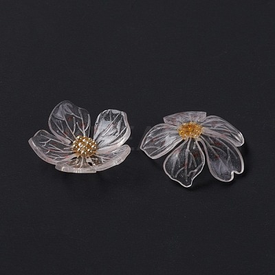 Transparent Resin Cabochons RESI-L035-19-1