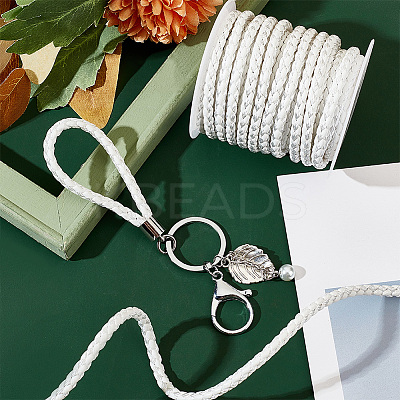 10M Round Imitation Leather Braided Cords LC-WH0008-03B-1
