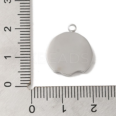304 Stainless Steel Pendants STAS-B074-08P-05-1