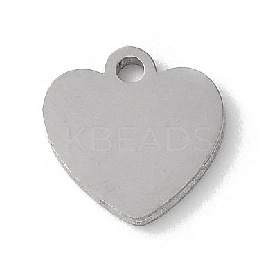 304 Stainless Steel Stamping Blank Tag Charms LS-STAS-E501-02P-1