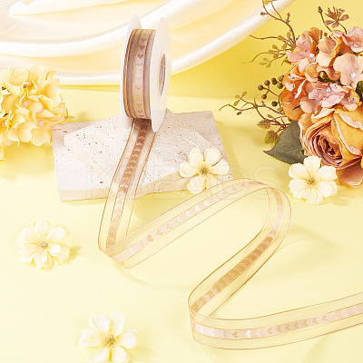 Polyester Lace Ribbon OCOR-TADJ0001-07F-1