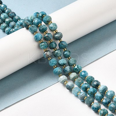 Natural Apatite Beads Strands G-P508-A15-01-1