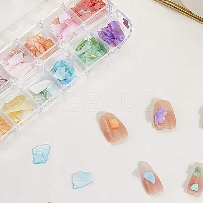 1 Set 12 Grid Nuggets Abalone Shell Nail Art Sequins for Woman Girls MRMJ-SP0001-06-1