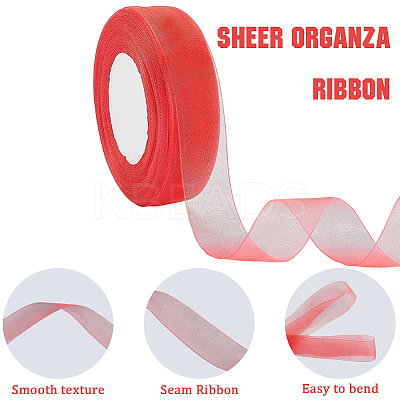 1 Rolls Sheer Organza Ribbon SRIB-CY0001-22A-05-1