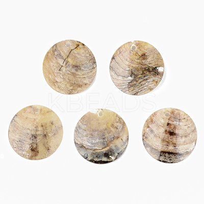 Natural Akoya Shell Pendants X-SHEL-R048-023-1