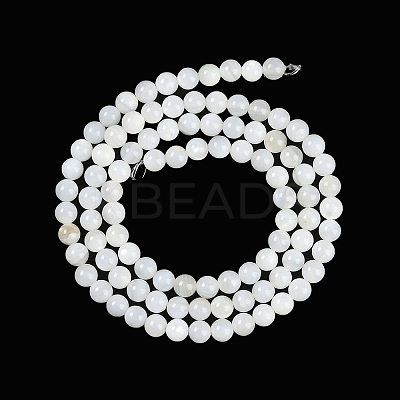 Natural Cultured Freshwater Shell Beads Strands BSHE-H109-03B-1