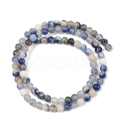 Natural Sodalite Beads Strands GSR4mmC013-1
