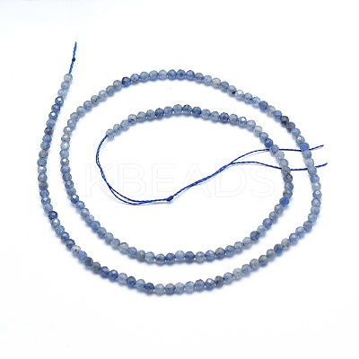 Natural Iolite/Cordierite/Dichroite Beads Strands G-G823-15-2.5mm-1