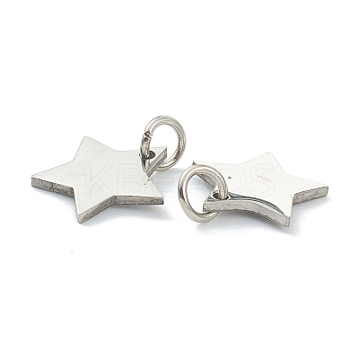 Tarnish Resistant (Defective Closeout Sale: Scratches)304 Stainless Steel Charms STAS-XCP0001-34-1