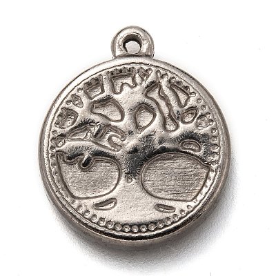 Non-Tarnish 304 Stainless Steel Pendants STAS-H123-10A-P-1