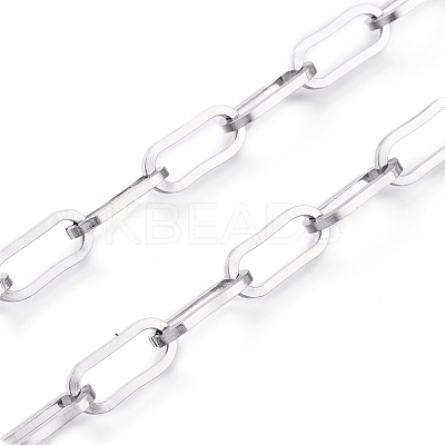 Tarnish Resistant 304 Stainless Steel Paperclip Chains CHS-D030-02P-1