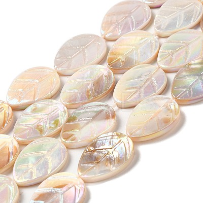Natural Freshwater Shell Beads Strands SHEL-K006-35-1