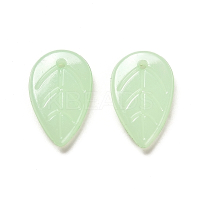 Translucent Acrylic Pendants LS-OACR-Z016-10A-1