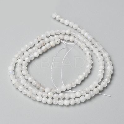 Natural Rainbow Moonstone Beads Strands LS-G-O186-D02-01-1