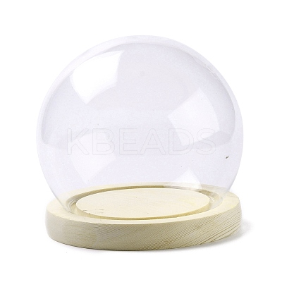 High Borosilicate Glass Cloche Globe Display Dome ODIS-F007-01A-1