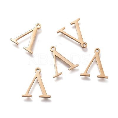 304 Stainless Steel Charms STAS-K215-24G-1