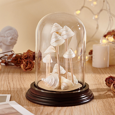 Glass Dome Cover ODIS-WH0079-021B-1