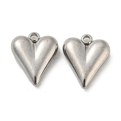 Non-Tarnish 304 Stainless Steel Charms STAS-L022-108P-07-1