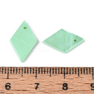 Spray Painted Natural Freshwater Shell Pendants BSHE-T014-07D-1
