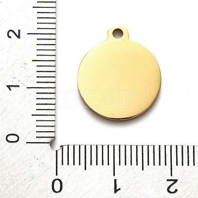 304 Stainless Steel Pendants STAS-H438-05G-01-1