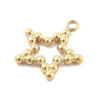 Ion Plating(IP) 304 Stainless Steel Charms STAS-P379-21G-1