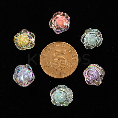 Transparent Acrylic Beads X-TACR-T024-06B-1