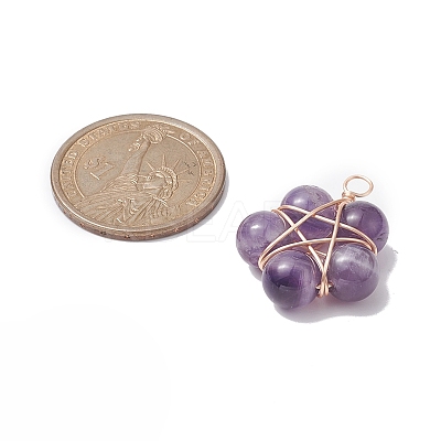Brass Wire Wrapped Natural Gemstone Pendants PALLOY-TA00033-01-1