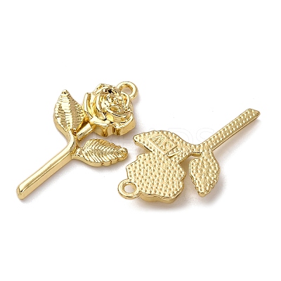 Alloy Pendants FIND-Z095-12G-1