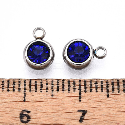 303 Stainless Steel Rhinestone Charms STAS-S068-16-1