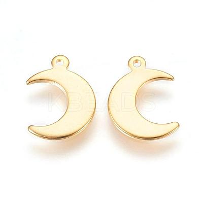 304 Stainless Steel Charms X-STAS-H557-31G-1