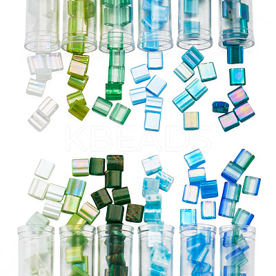 204~240Pcs 12 Colors 2-Hole Glass Seed Beads SEED-TA0001-19-1