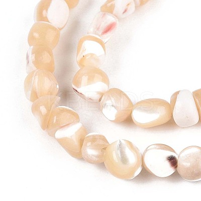 Natural Trochid Shell/Trochus Shell Beads Strands SSHEL-N040-11-1