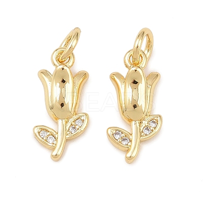 Brass Micro Pave Clear Cubic Zirconia Charms KK-G544-06G-01-1