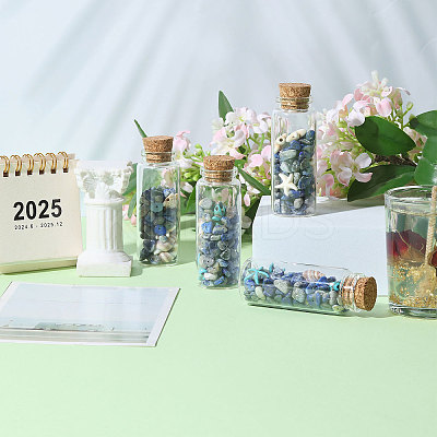 Transparent Glass Wishing Bottle Decoration PALLOY-CA00034-1