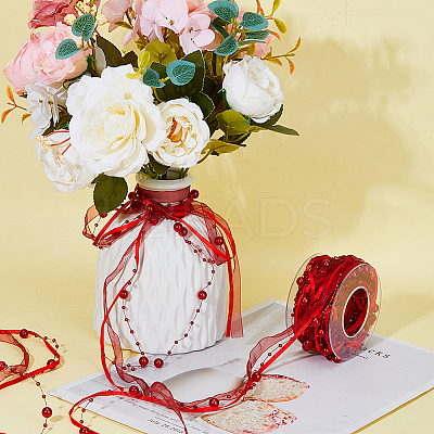 10M Polyester Ribbon OCOR-WH0086-43B-1