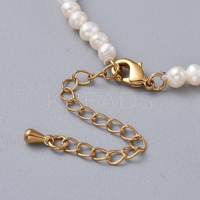 Natural Freshwater Pearl Necklaces NJEW-JN02515-1