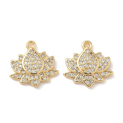 Brass Micro Pave Cubic Zirconia Charms X1-KK-C099-09G-1
