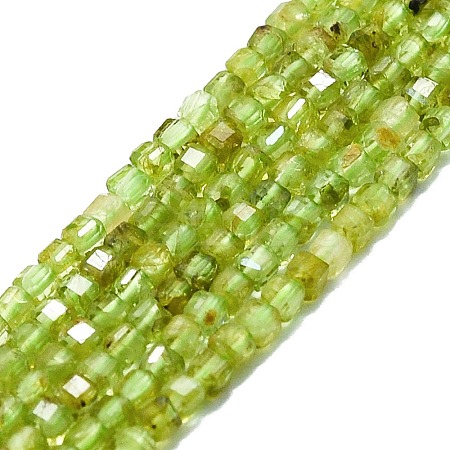 Natural Peridot Beads Strands LS-G-P457-B01-06-1