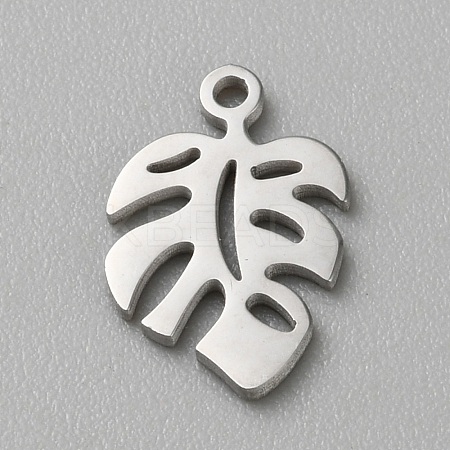 304 Stainless Steel Charms LS-FIND-WH0170-14-1