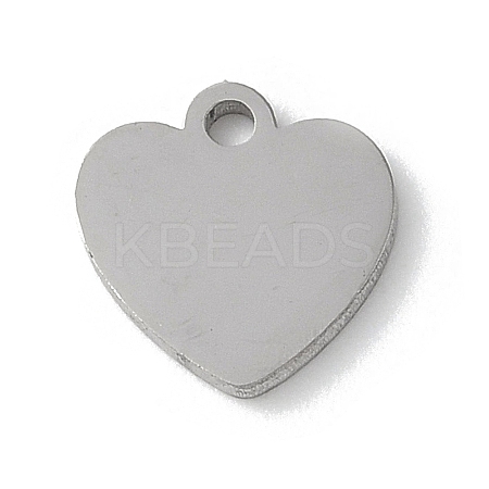 304 Stainless Steel Stamping Blank Tag Charms LS-STAS-E501-02P-1