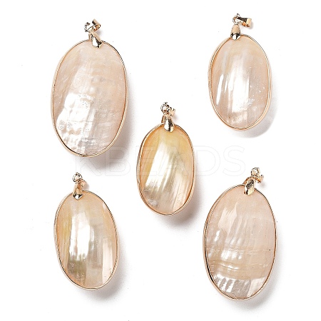 Electroplate Natural Shell Big Pendants KK-F882-05G-1