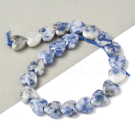 Natural Blue Spot Jasper Beads Strands G-D316-B10-1