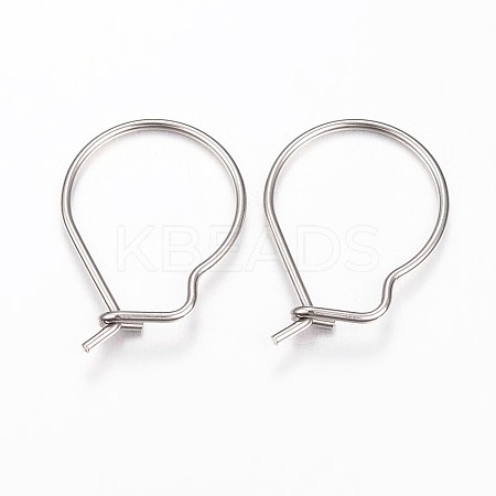 304 Stainless Steel Hoop Earrings Findings STAS-P186-04P-1