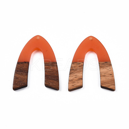 Transparent Resin & Walnut Wood Pendants RESI-N025-029-C07-1